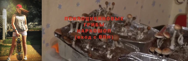 марихуана Магадан