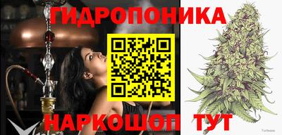 дмт Бузулук