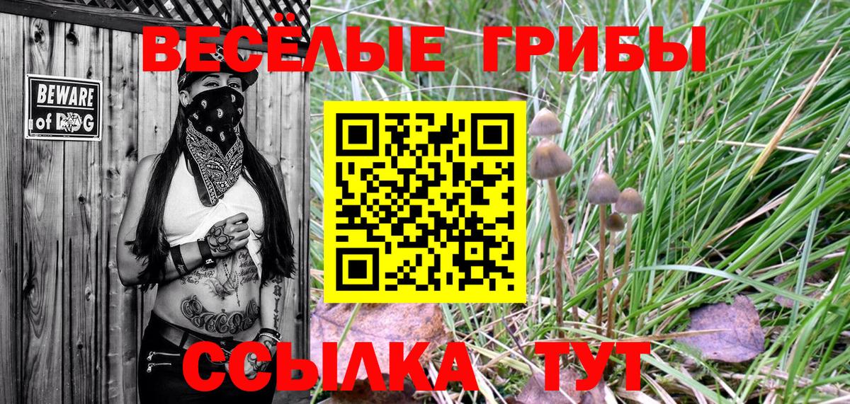 Псилоцибиновые грибы Magic Shrooms  Жуковский 