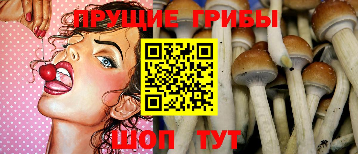 Псилоцибиновые грибы ЛСД  Вход с VPN  Жуковский 