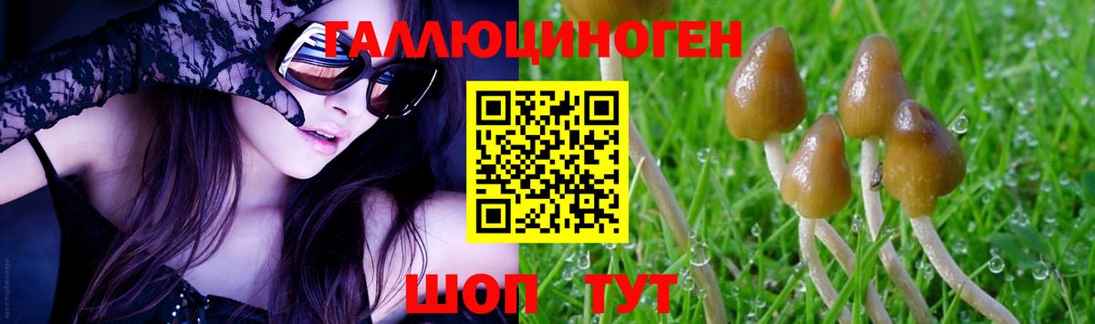 Псилоцибиновые грибы прущие грибы Жуковский